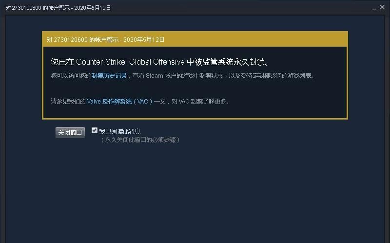 csgo受vac保护的服务器怎么进缩略图