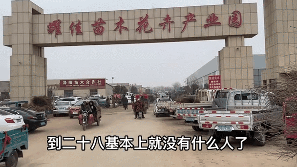 临沂苗木批发市场在哪里