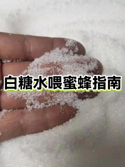 赶走蜜蜂的简便小妙招图标