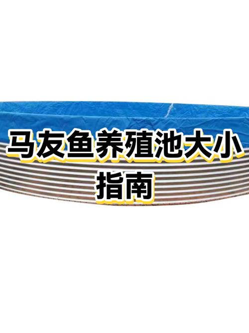 斑马鱼能和孔雀鱼混养吗缩略图