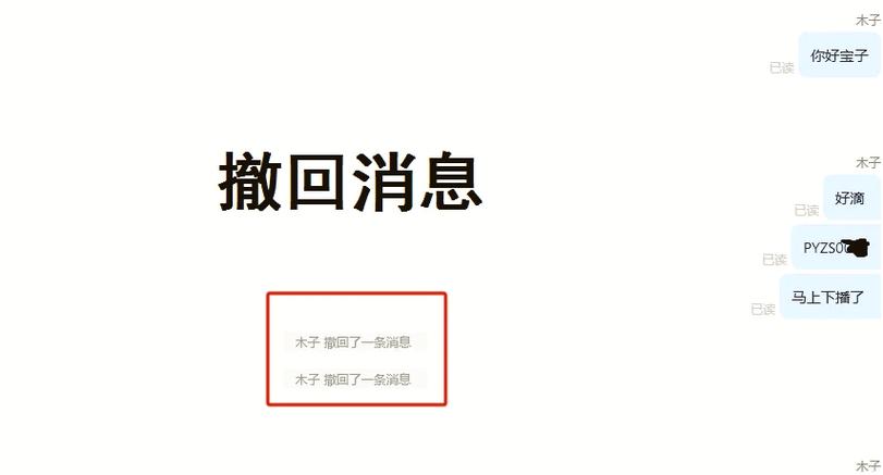 钉钉密聊撤回的消息对方还能看到吗