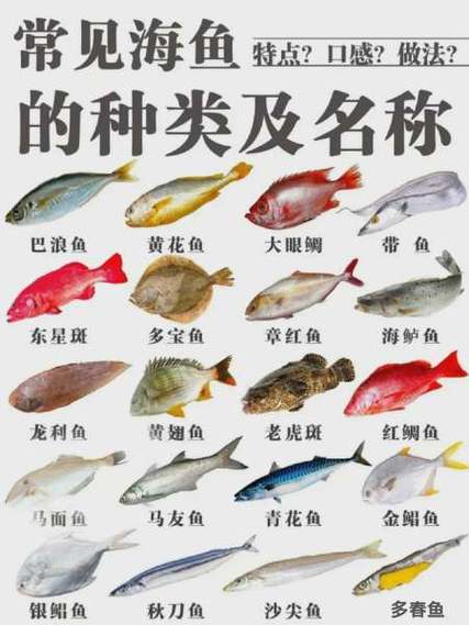 鱼的种类图片和名字图标