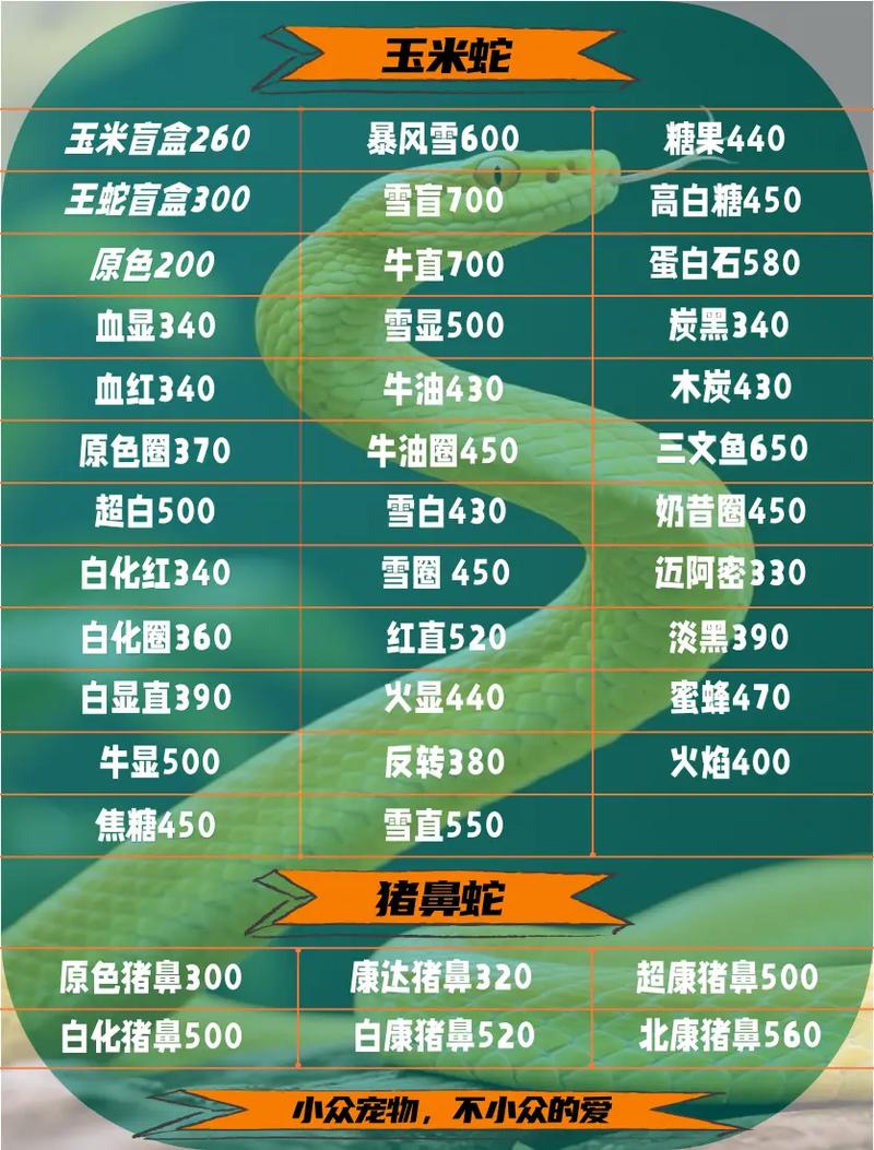 2025宠物蛇价目表图标