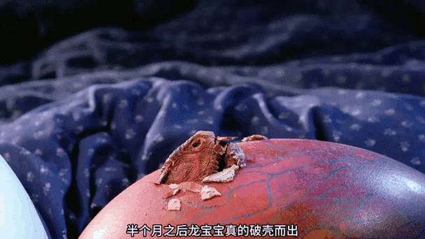 手机版孵化龙蛋的步骤视频缩略图