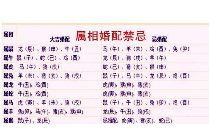 94年的狗今年婚姻状况如何缩略图