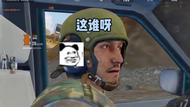 小鲨鱼直装3.0免费暗区突围