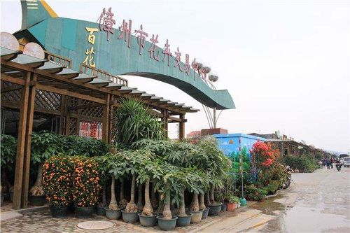 花卉批发基地