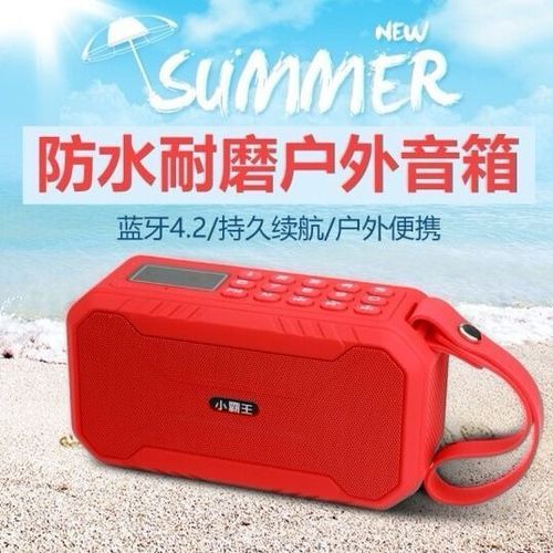 小霸王D100使用说明书