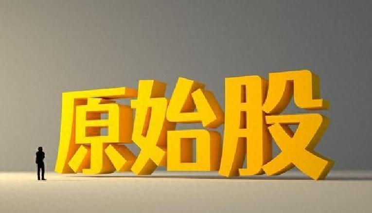 公司上市了原始股一定赚钱吗图标