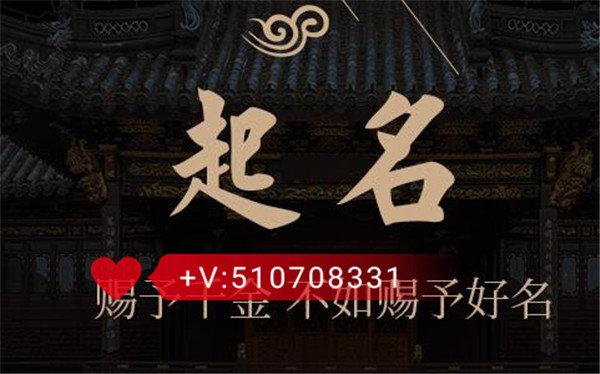 新生儿名字测试免费查询图标