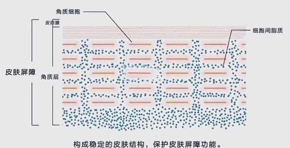 脸部用仪器导完伤皮肤吗?缩略图