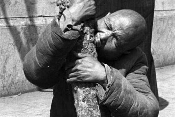 饥荒年代:开局被赶出大伯家的小说