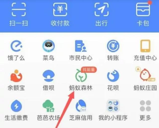 蚂蚁森林怎么隐藏能量不被收走游戏截图