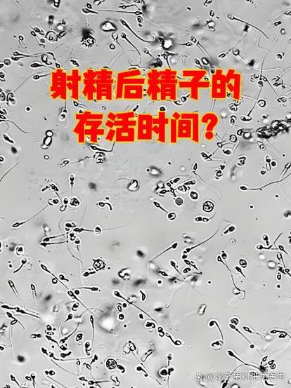 射完精之后多久可以恢复