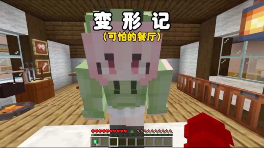 我的世界细阿威变性记9缩略图
