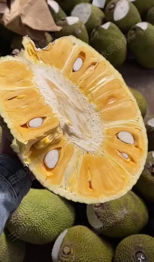 菠萝蜜单价多少钱一斤缩略图