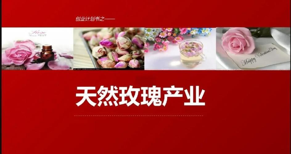 创新创业大赛ppt优秀作品图标