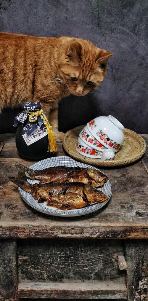 不吃鱼的猫小说作品集秦浩图标