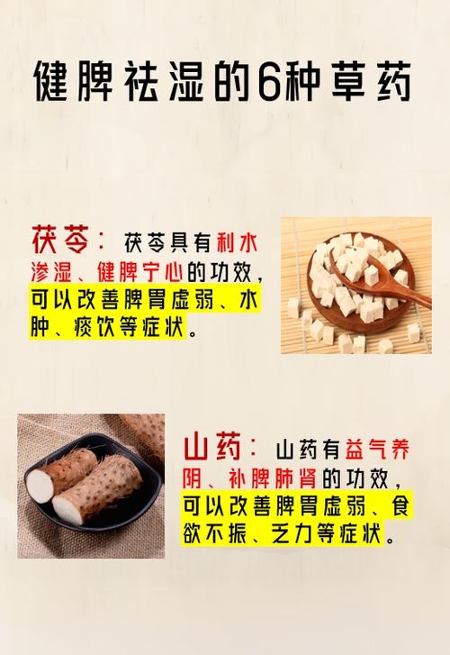 怎样健脾祛湿最有效缩略图