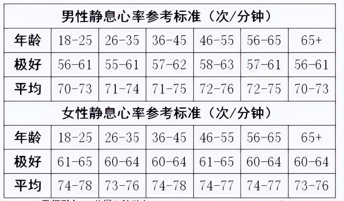 手表心率正常值范围是多少