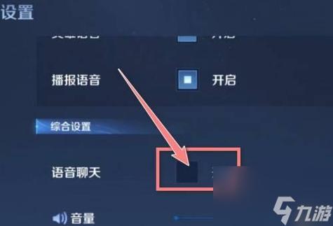 王者为什么看不到聊天内容图标