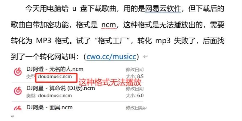 下载到u盘的腾讯视频看不了怎么办缩略图