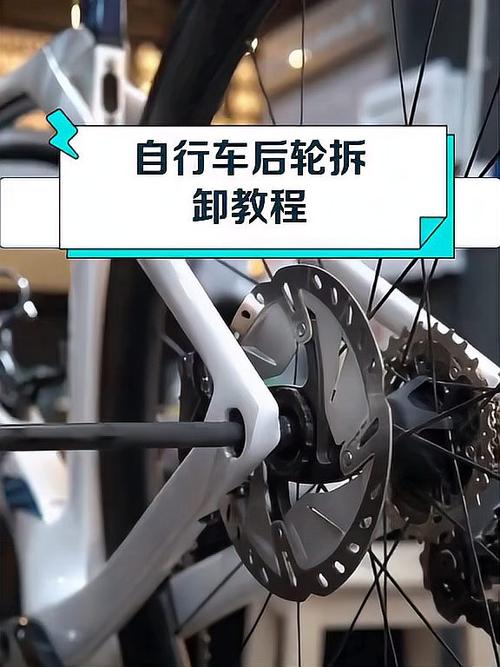 普通自行车后轮拆卸教程