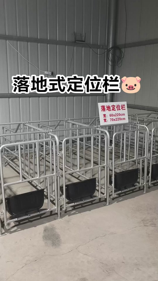 母猪定位栏安装示意图缩略图