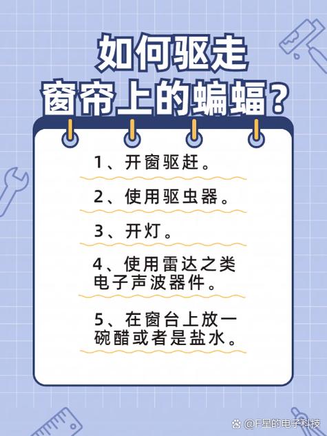赶走蝙蝠的小妙招