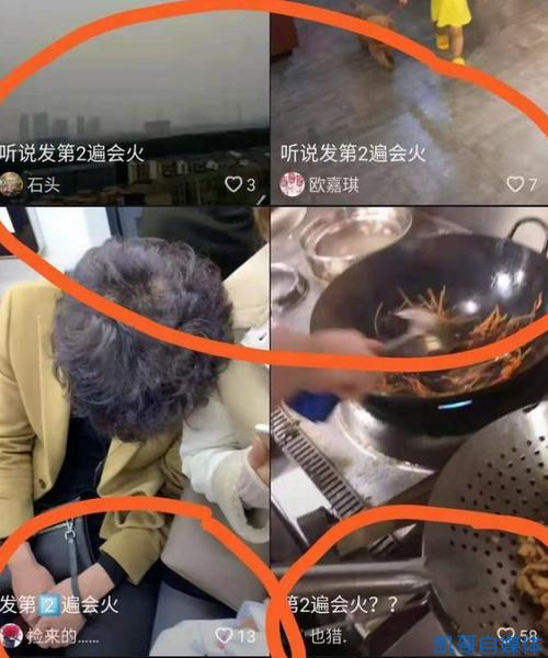一个作品火了能发两遍吗游戏截图