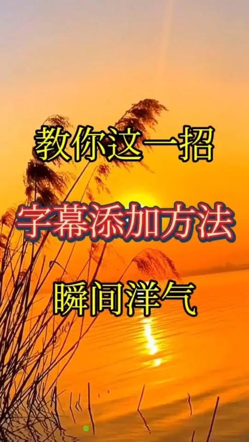 怎么在视频上添加文字图标