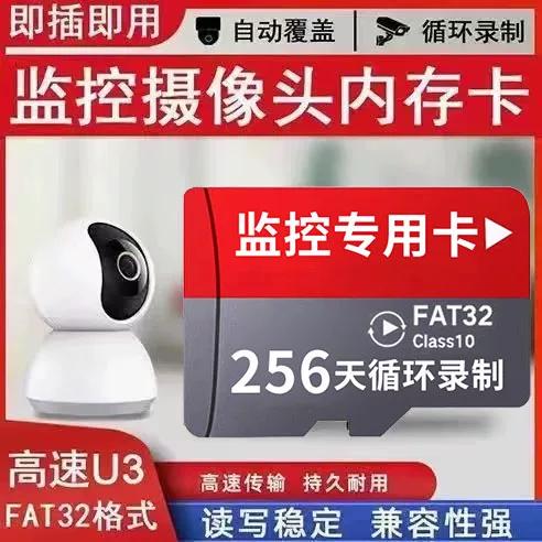 萤石云内存卡游戏截图