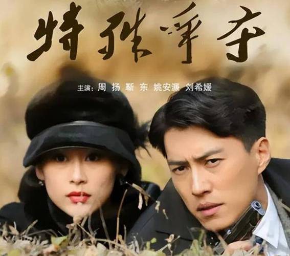 靳东经典电视剧全集免费看缩略图