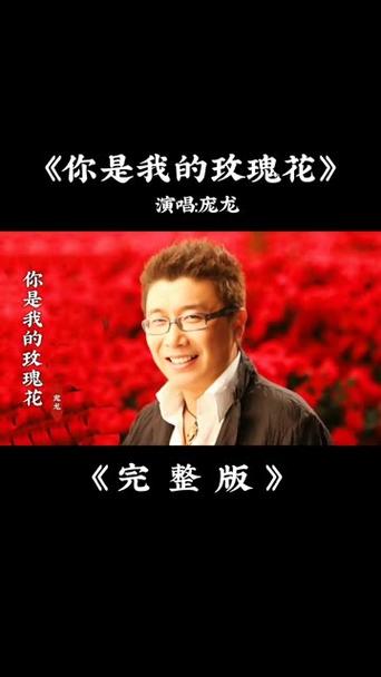 你是我的玫瑰把你捧在手心