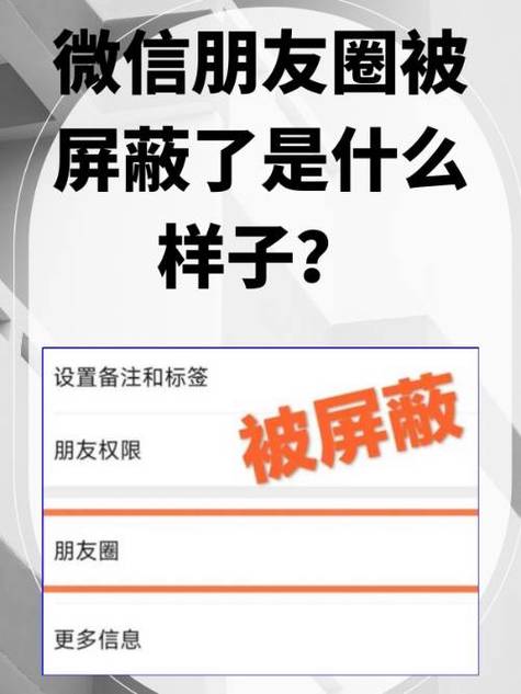 朋友圈把好友屏蔽了怎么拉回来缩略图
