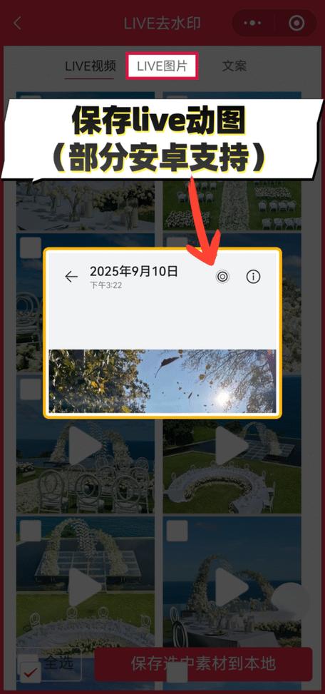 小红书图片保存到手机的方法图标