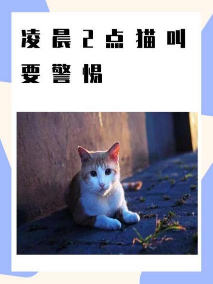 猫突然不见了要警惕
