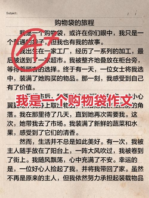 神奇口袋作文350字左右