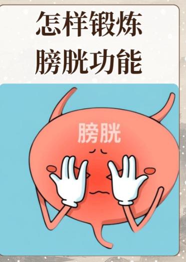 外力挤压膀胱排尿法图标