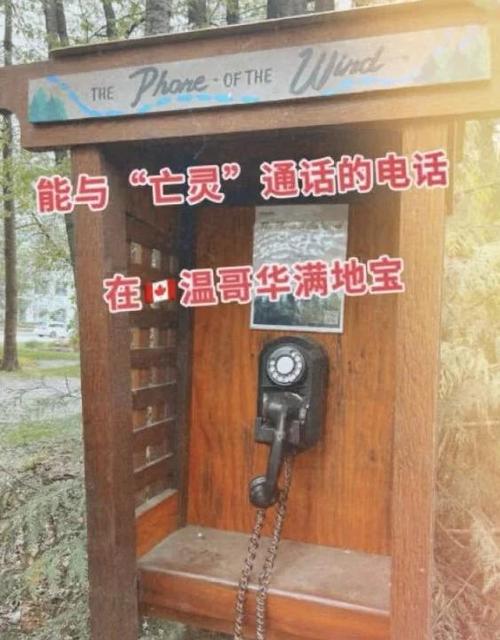 苹果手机最近通话记录突然没有了缩略图