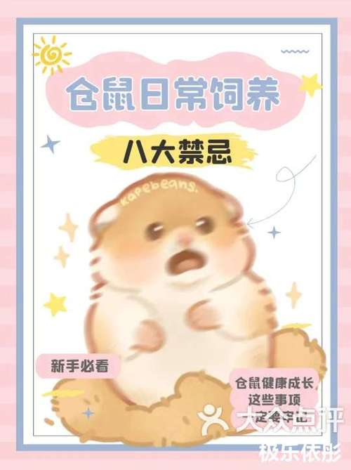仓鼠饲养的注意事项图标