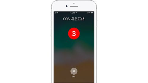 苹果紧急呼救电话打给谁图标