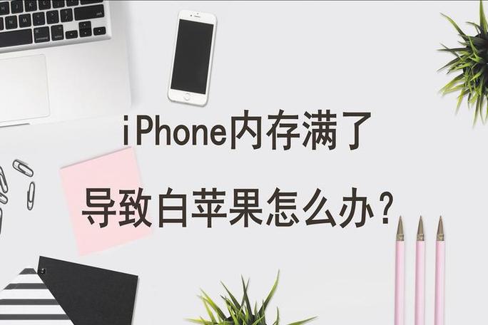 内存爆满白苹果还有救吗游戏截图
