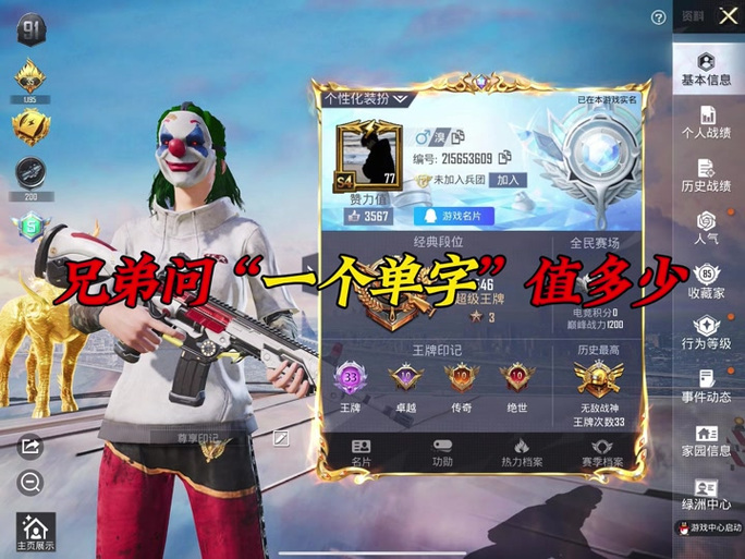 和平精英最新单字稀少id游戏截图