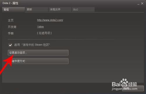 steam上dota2怎么玩国服图标