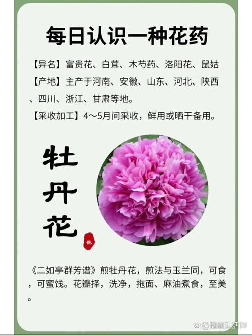 牡丹花油的功效与价格缩略图