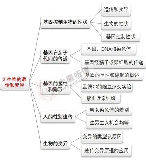 初中生物遗传学知识点归纳图标
