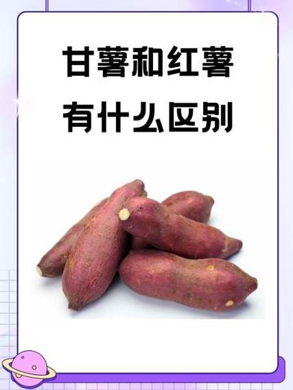 甘薯和红薯有什么区别游戏截图