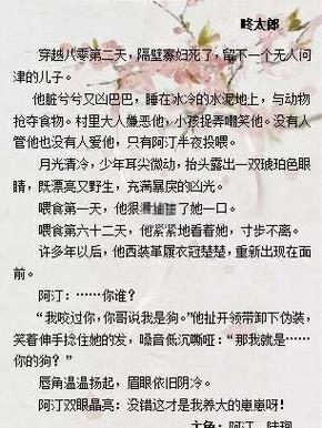 双男主破解版金手指