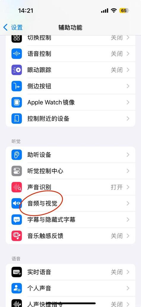 苹果手机电话降噪在哪里设置图标